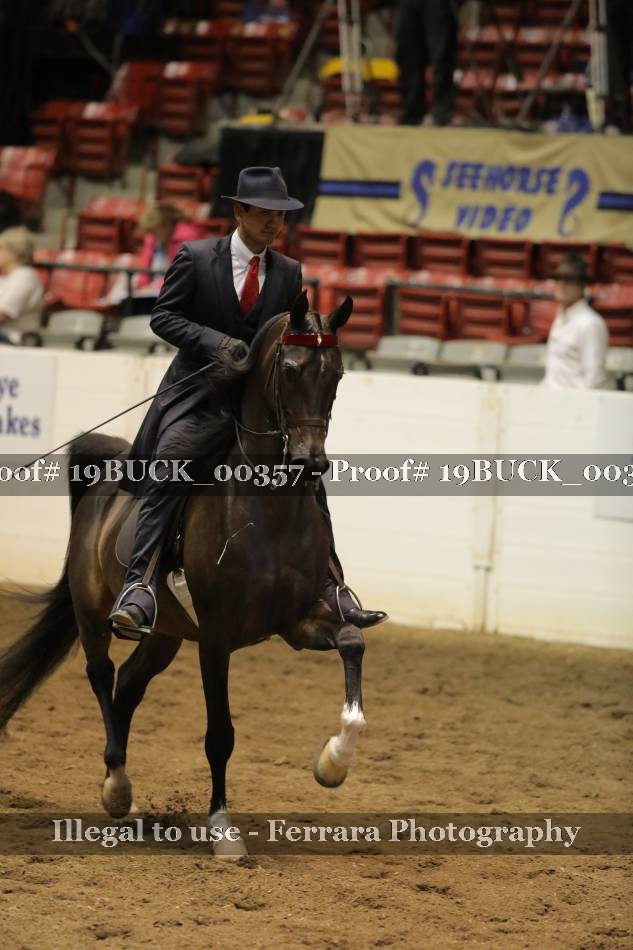 Proof 19BUCK_00357
