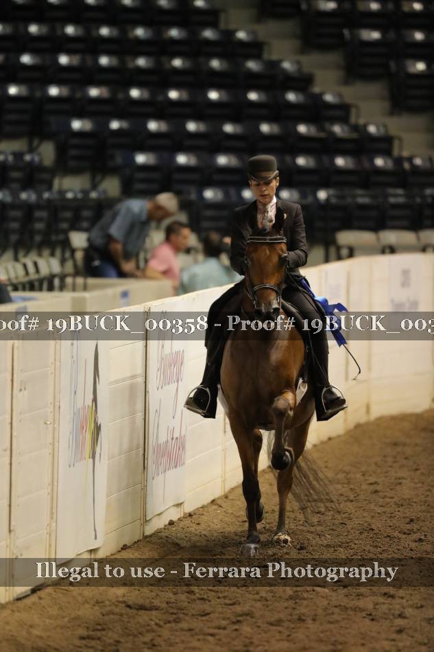 Proof 19BUCK_00358