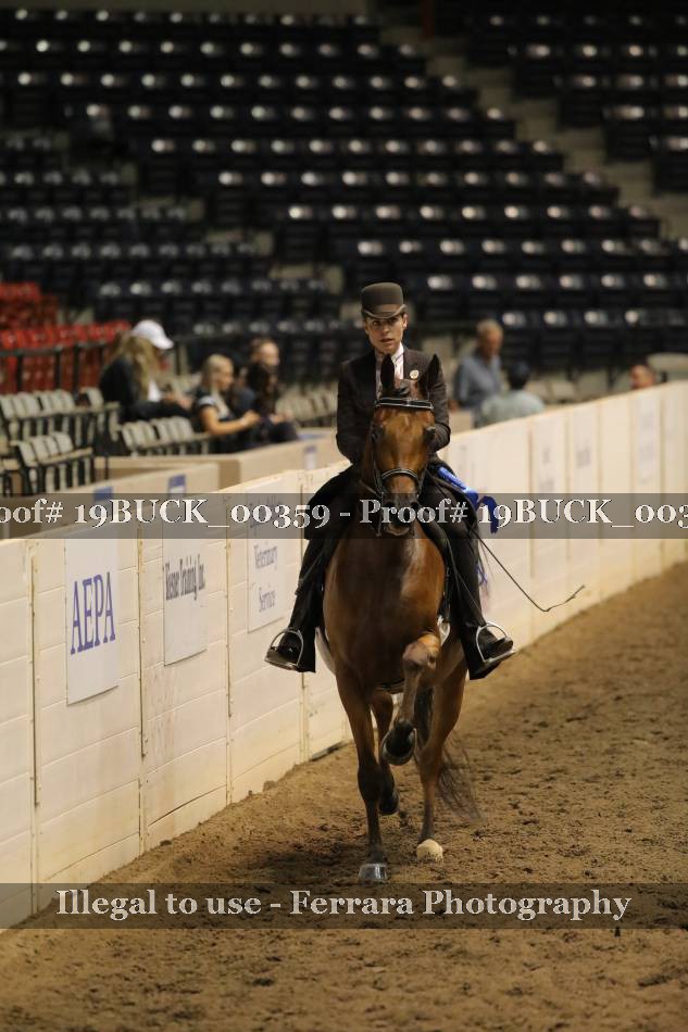 Proof 19BUCK_00359