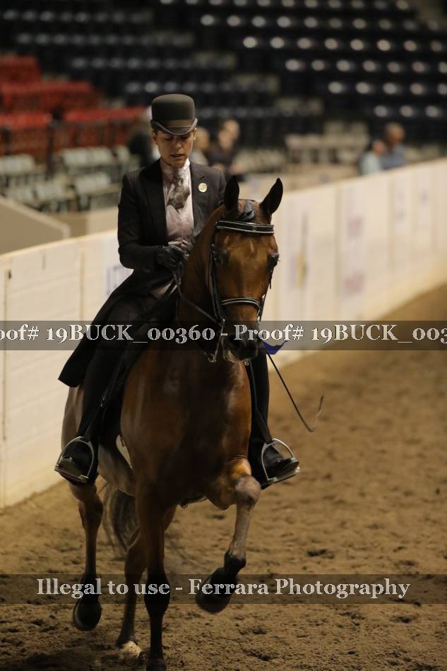 Proof 19BUCK_00360