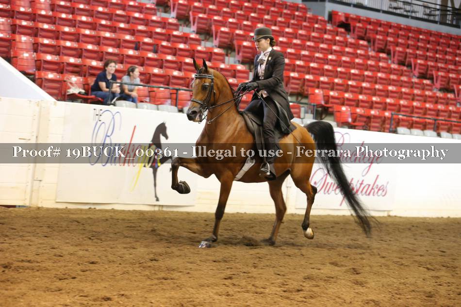 Proof 19BUCK_00361