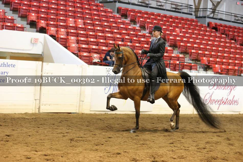 Proof 19BUCK_00362