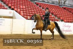 19BUCK_00362 proof