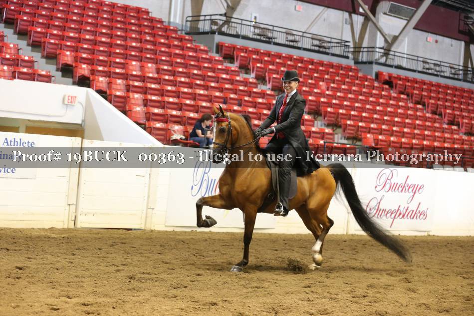 Proof 19BUCK_00363