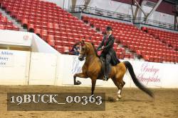 19BUCK_00363 proof