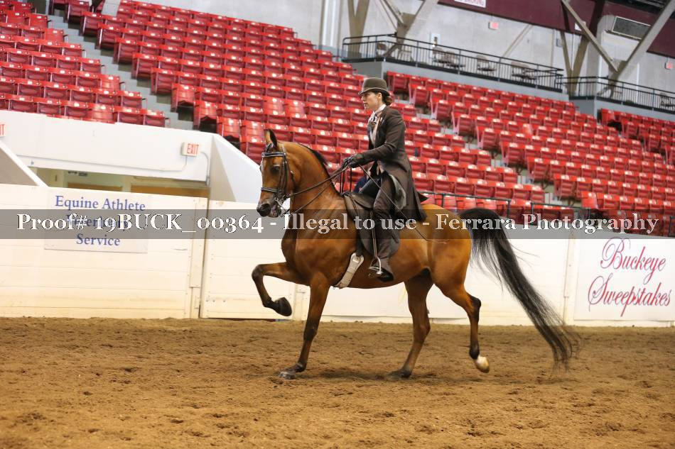 Proof 19BUCK_00364