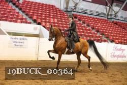 19BUCK_00364 proof
