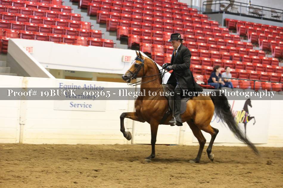 Proof 19BUCK_00365