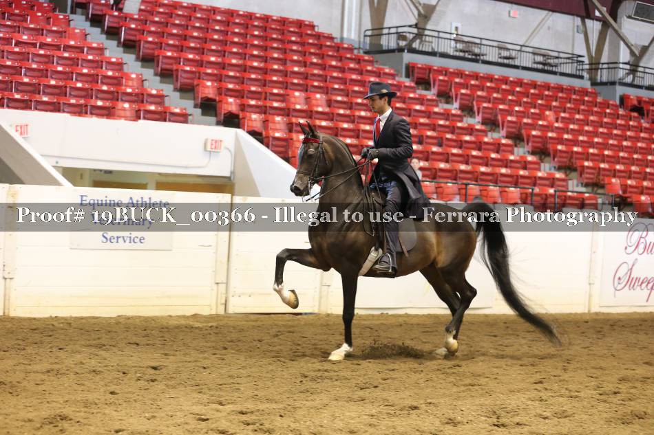 Proof 19BUCK_00366
