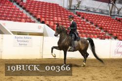 19BUCK_00366 proof