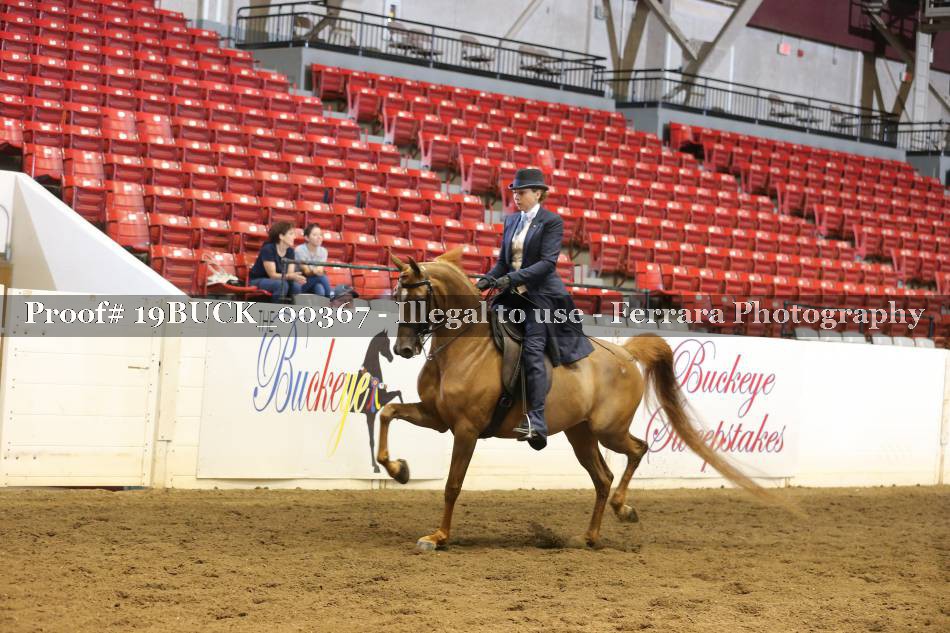 Proof 19BUCK_00367