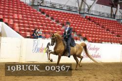 19BUCK_00367 proof