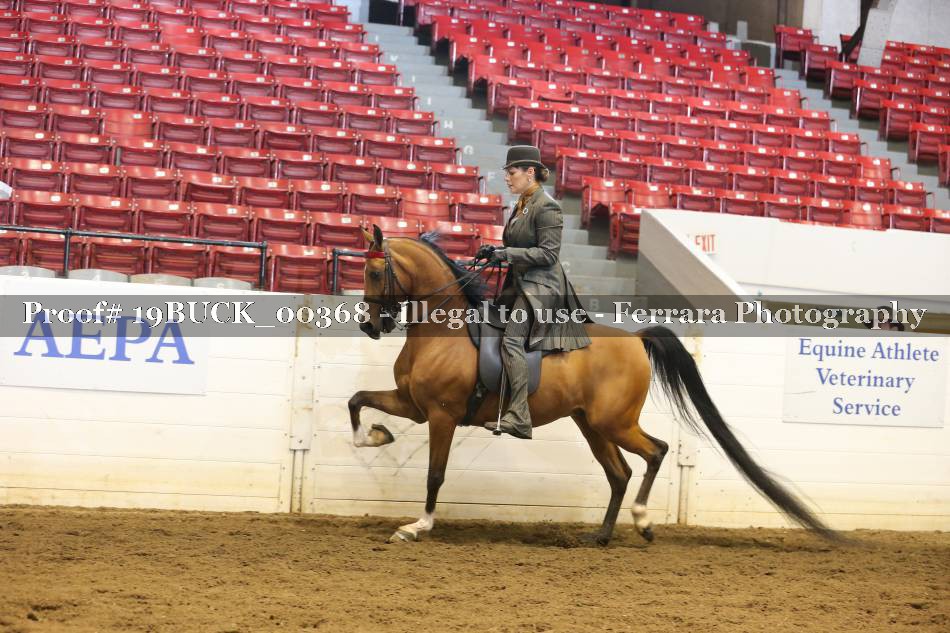 Proof 19BUCK_00368