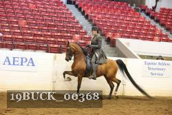 19BUCK_00368 proof