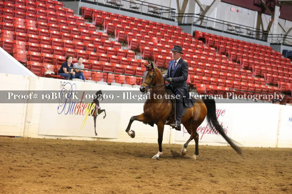 Proof 19BUCK_00369