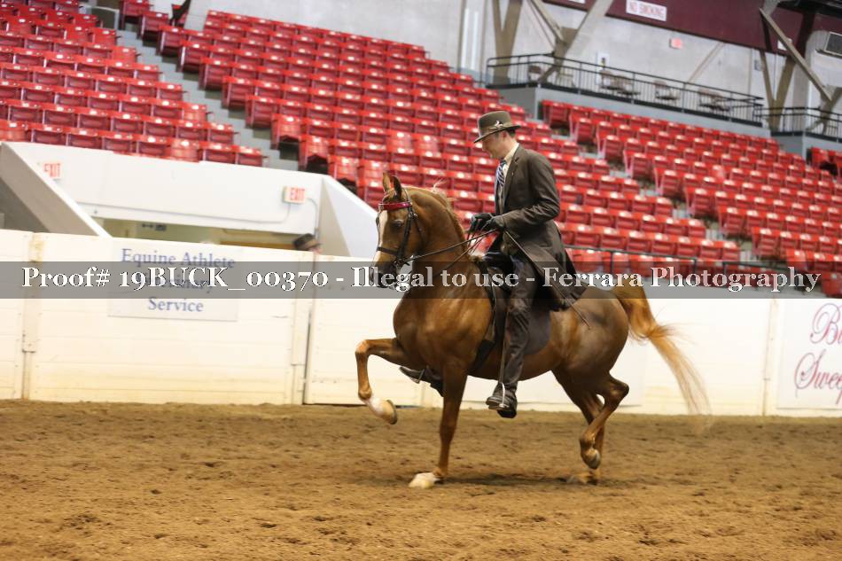 Proof 19BUCK_00370