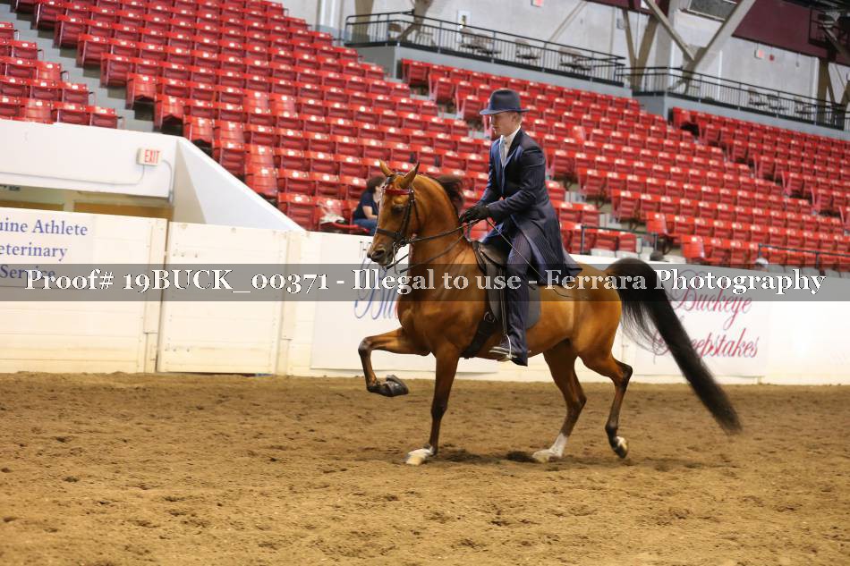 Proof 19BUCK_00371