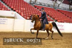 19BUCK_00371 proof