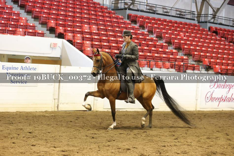 Proof 19BUCK_00372