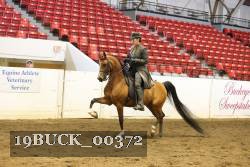 19BUCK_00372 proof