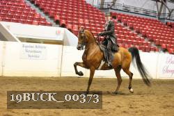 19BUCK_00373 proof