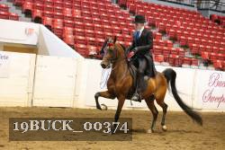 19BUCK_00374 proof