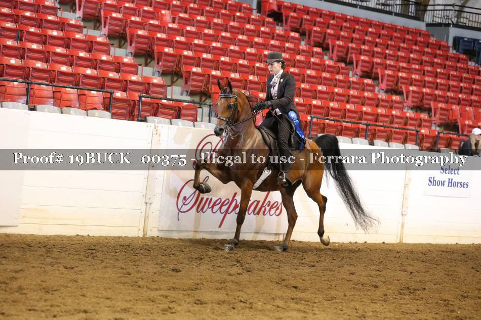 Proof 19BUCK_00375