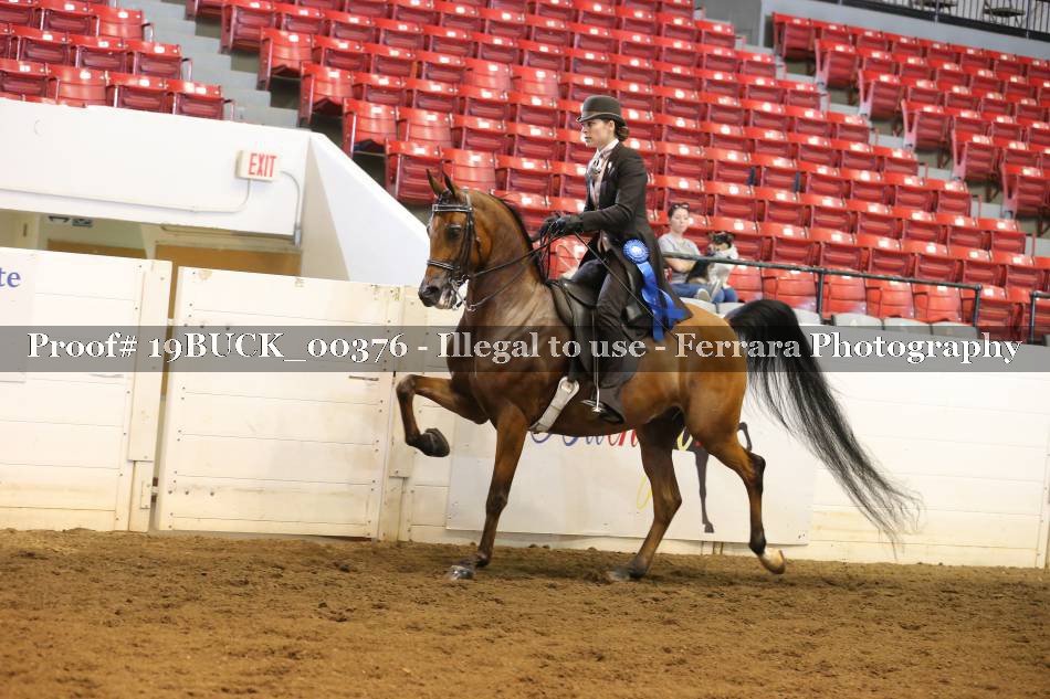 Proof 19BUCK_00376
