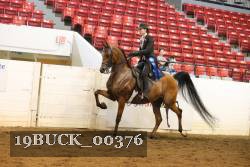 19BUCK_00376 proof