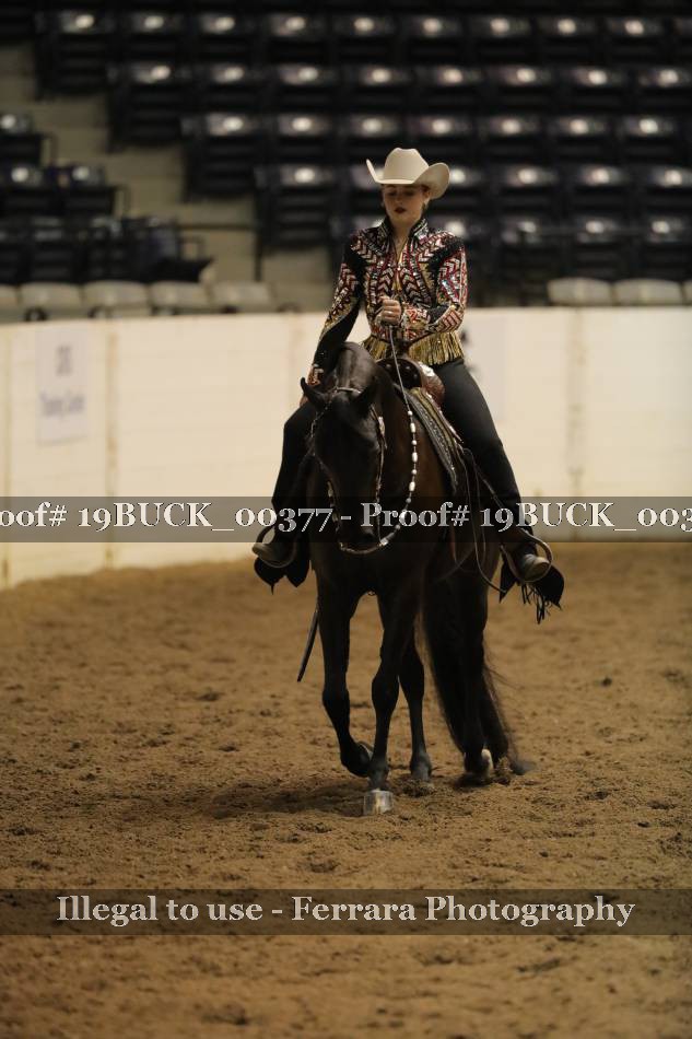 Proof 19BUCK_00377