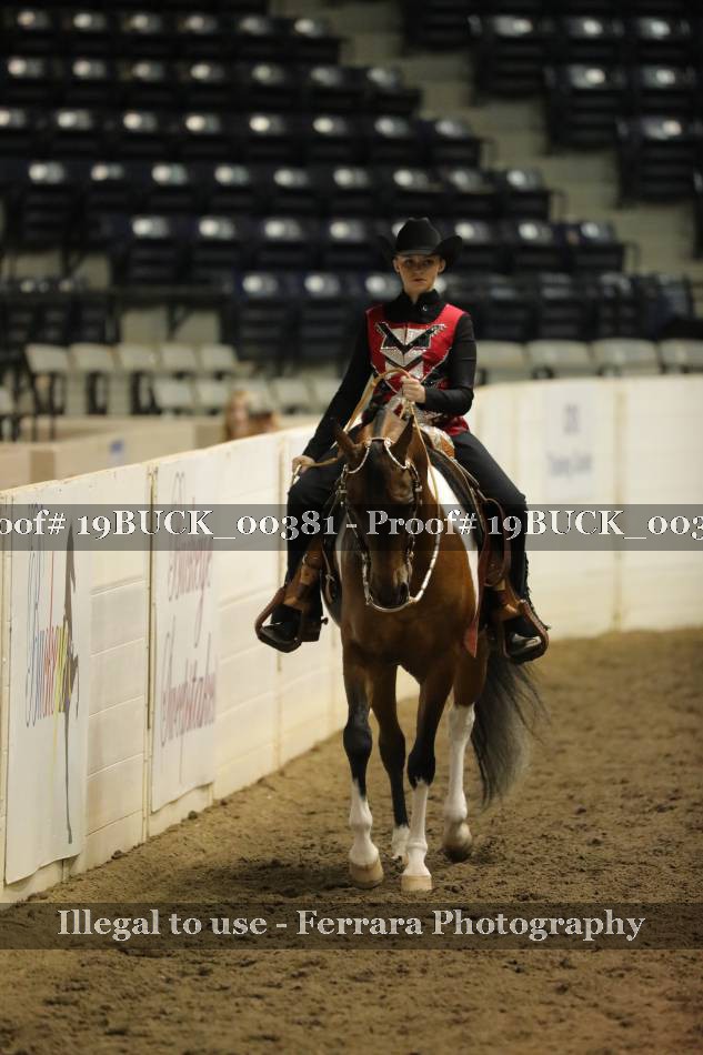Proof 19BUCK_00381