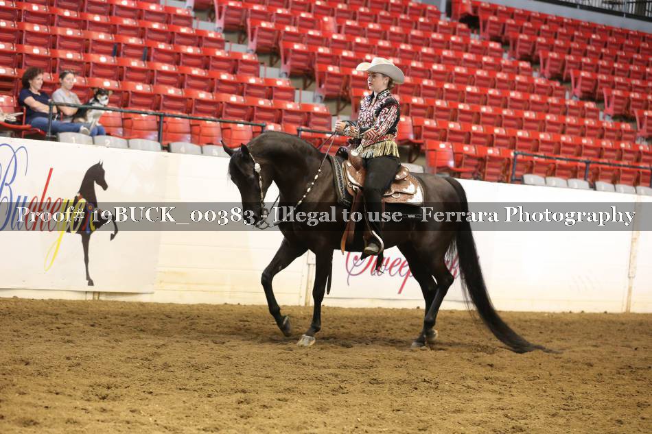 Proof 19BUCK_00383