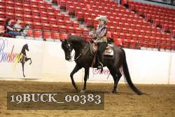 19BUCK_00383 proof