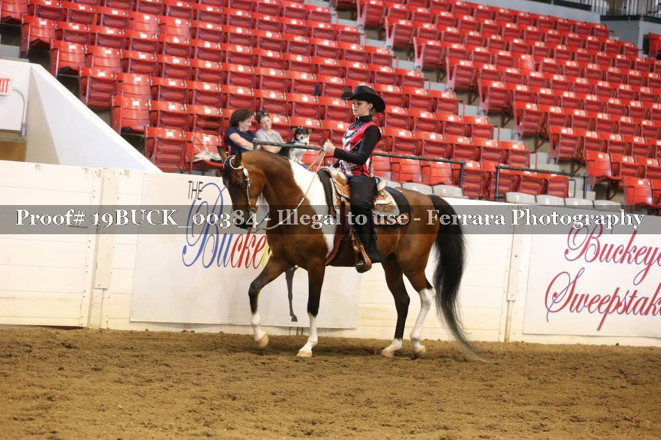 Proof 19BUCK_00384