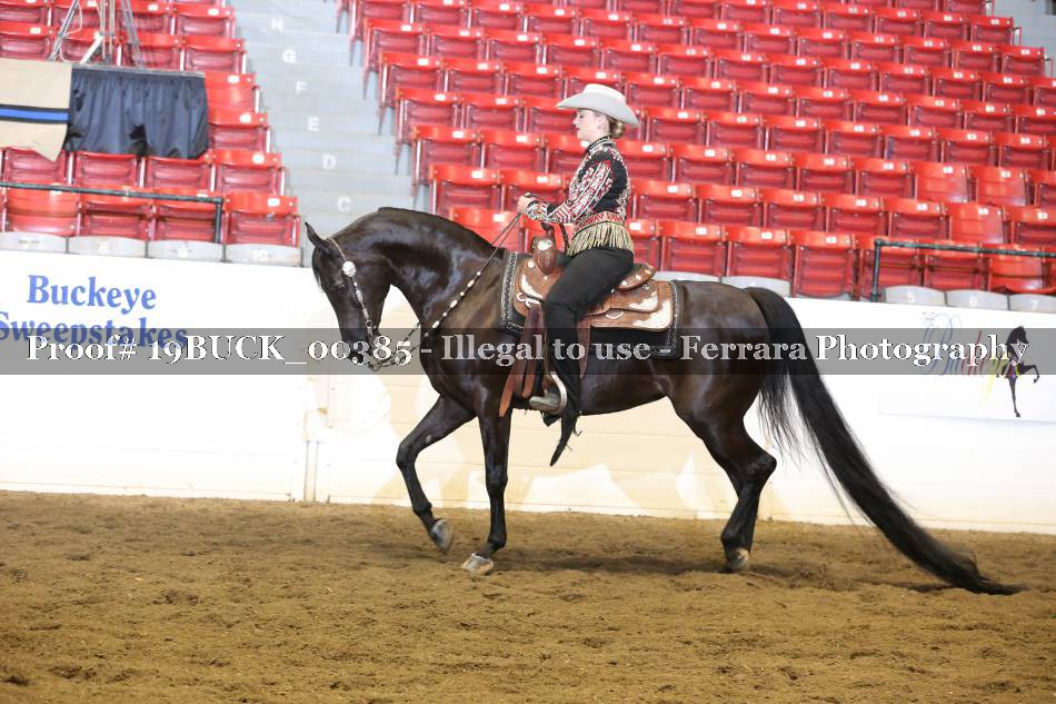 Proof 19BUCK_00385