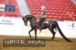 19BUCK_00385 proof