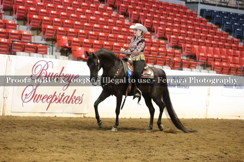 Proof 19BUCK_00386