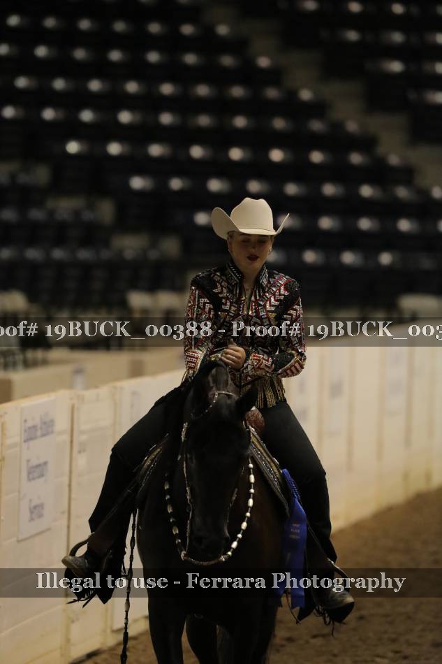 Proof 19BUCK_00388