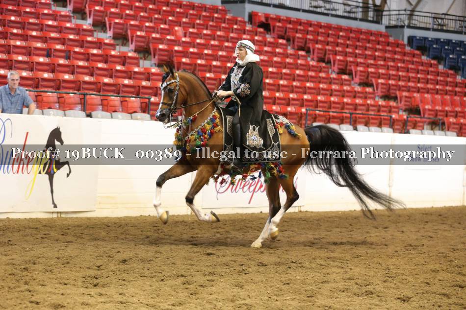 Proof 19BUCK_00389