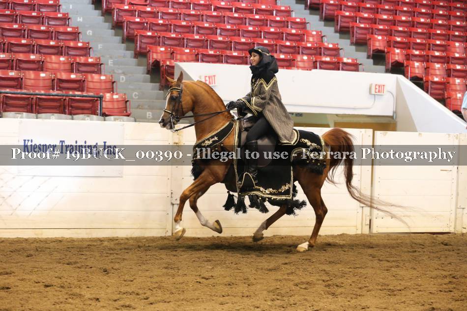 Proof 19BUCK_00390
