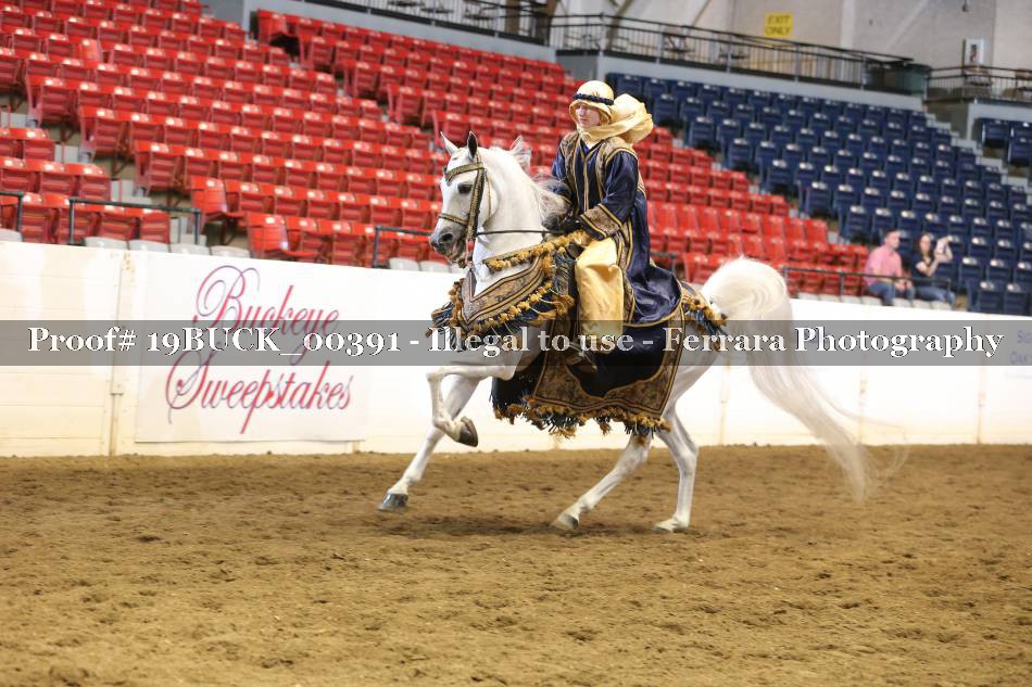 Proof 19BUCK_00391