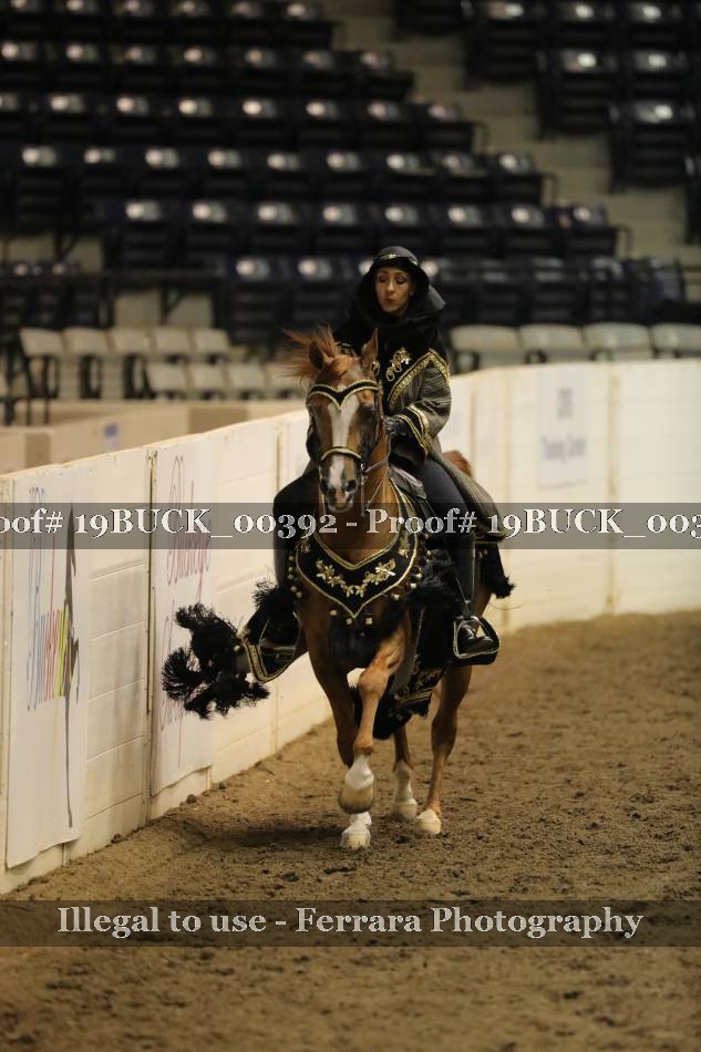 Proof 19BUCK_00392