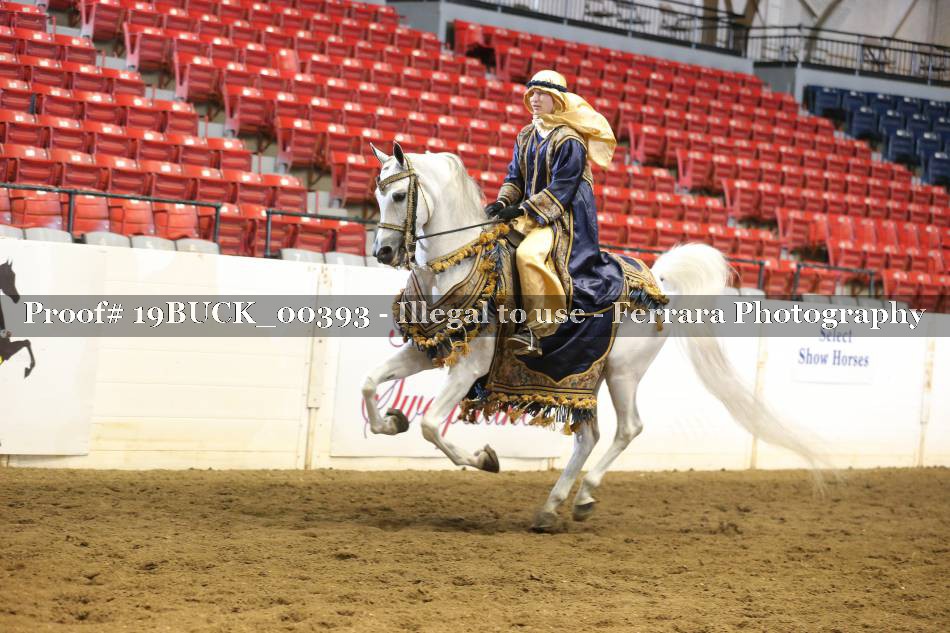 Proof 19BUCK_00393