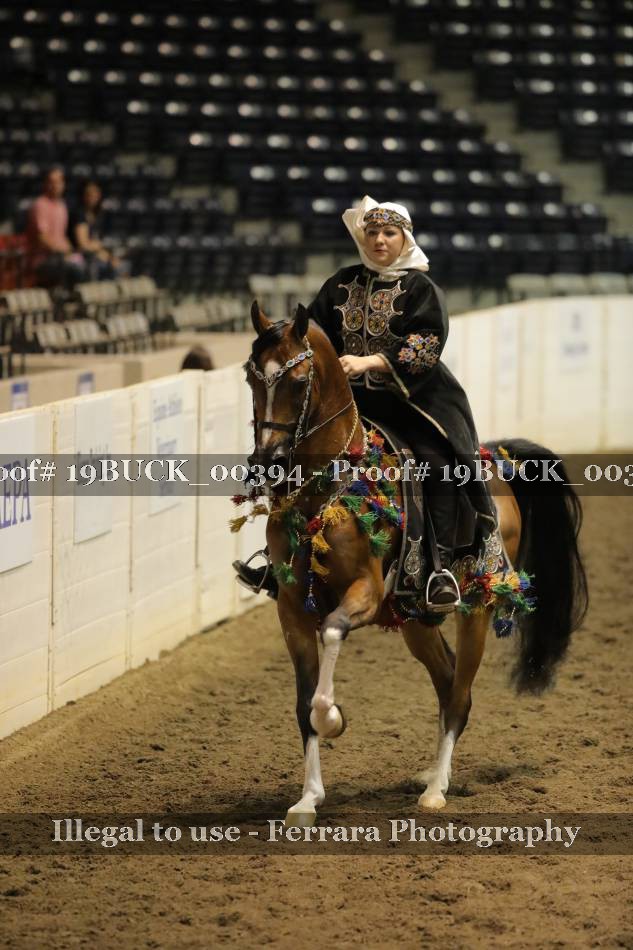 Proof 19BUCK_00394