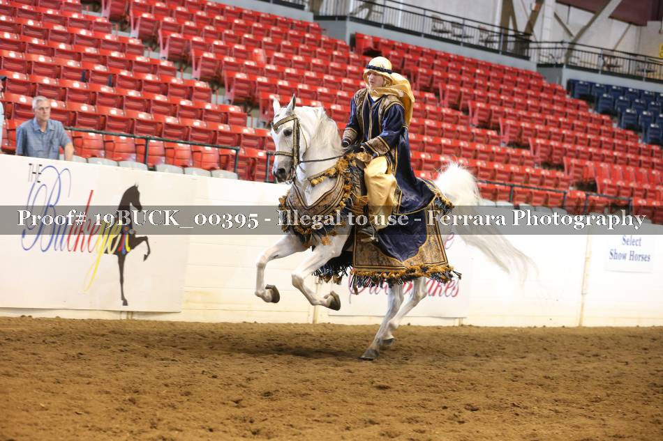 Proof 19BUCK_00395