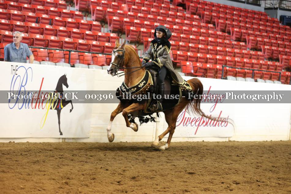 Proof 19BUCK_00396