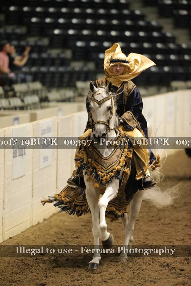 Proof 19BUCK_00397