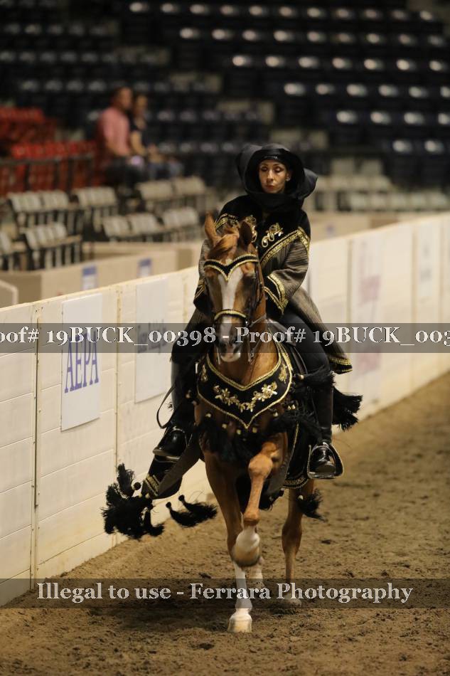 Proof 19BUCK_00398