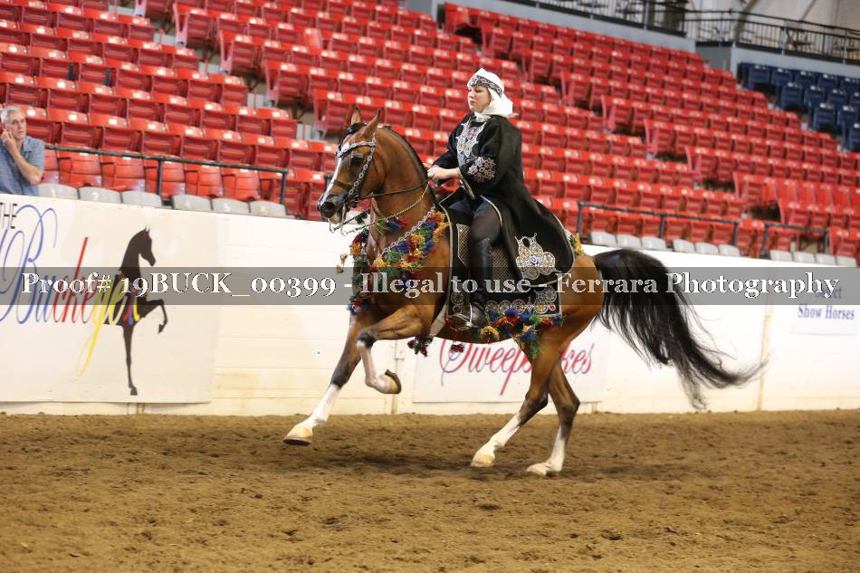 Proof 19BUCK_00399