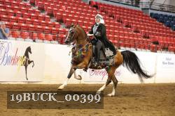 19BUCK_00399 proof